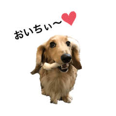 [LINEスタンプ] にっちゃんすたんぷぅ