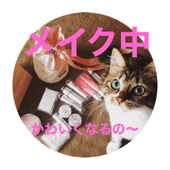 [LINEスタンプ] ラブねここ達