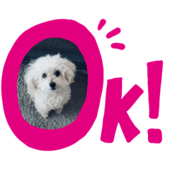 [LINEスタンプ] 我家のdog②
