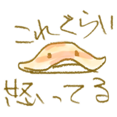 [LINEスタンプ] セイブシシバナヘビのしゃーちゃん