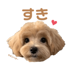 [LINEスタンプ] きなこもちver.3