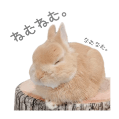 [LINEスタンプ] うさぎのだんごとおぐり。