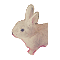 [LINEスタンプ] うさぎさん（ここれ、みかん）