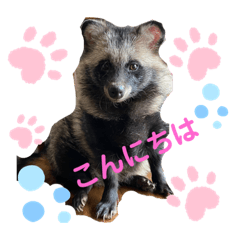 [LINEスタンプ] ポン子とボス