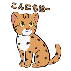 [LINEスタンプ] ベンガルヤマネコ-ちゃん！
