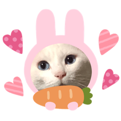 [LINEスタンプ] 美の白玉子ニャン