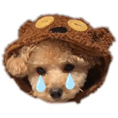 [LINEスタンプ] ぷちゃんすたんぷん②