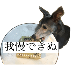 [LINEスタンプ] リタのぬ