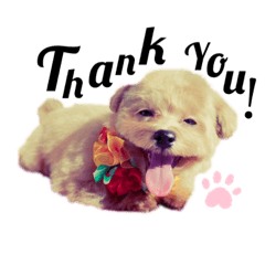 [LINEスタンプ] ミルしゃん可愛い
