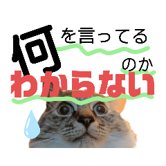 [LINEスタンプ] 湯浅家のスタンプ5