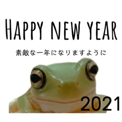 [LINEスタンプ] イエアメガエル 2021年 年賀状編