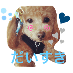 [LINEスタンプ] ここまる先生1
