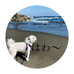 [LINEスタンプ] はたね家はにぎやか