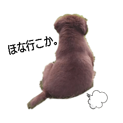 [LINEスタンプ] おコトさん4