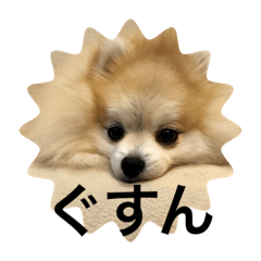 [LINEスタンプ] 可愛すぎて泣けるスタンプ