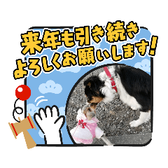 [LINEスタンプ] メイの親友のお正月