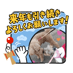 [LINEスタンプ] メイのBFのお正月