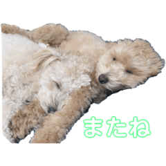 [LINEスタンプ] ベルとマーレの日常スタンプ