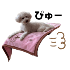 [LINEスタンプ] ごきげんのラン