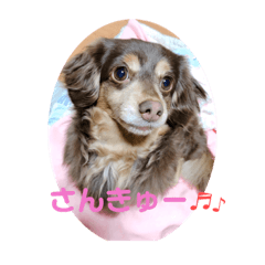 [LINEスタンプ] モコ時々まりお