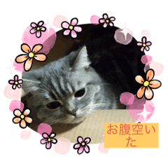 [LINEスタンプ] zeroの毎日Part2