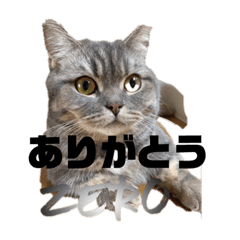 [LINEスタンプ] zero＆りん