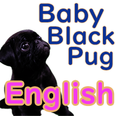 [LINEスタンプ] 黒パグのあかちゃん 英語版