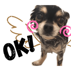 [LINEスタンプ] ちーぼう＆くぅ①