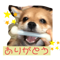 [LINEスタンプ] ロクすたんぷ 2