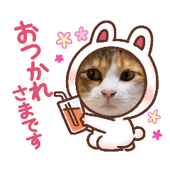 [LINEスタンプ] わらびです