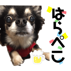 [LINEスタンプ] ちーぼう＆くぅ②