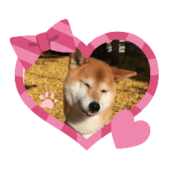 [LINEスタンプ] よく使う☆しずくスタンプ