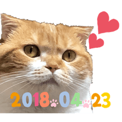 [LINEスタンプ] はむちゃんのかわいいすたんぷ
