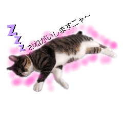 [LINEスタンプ] チコちゃん2
