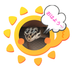 [LINEスタンプ] ヒョウモントカゲモドキちゃん①