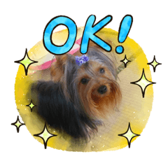 [LINEスタンプ] ヨーキーな5