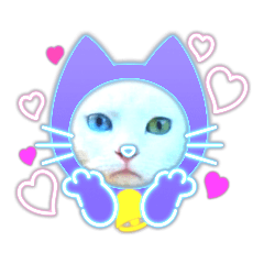 [LINEスタンプ] cat ＆ yume