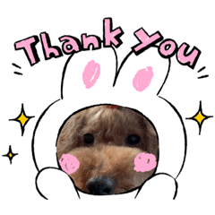 [LINEスタンプ] CHEBU  2