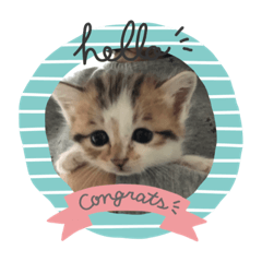 [LINEスタンプ] ふくちゃんまん