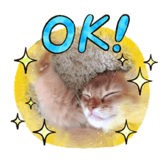 [LINEスタンプ] ソマリのスタンプ