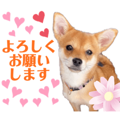 [LINEスタンプ] ロクすたんぷ3