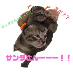 [LINEスタンプ] 悩み猫