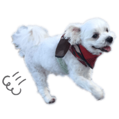[LINEスタンプ] れおちーず②