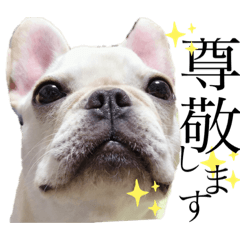 [LINEスタンプ] フレブルのぽーくちゃんブタンプ！！
