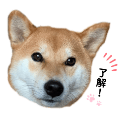 [LINEスタンプ] ポテトフライ'sスタンプ2