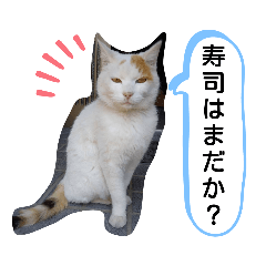 [LINEスタンプ] ねこミルク