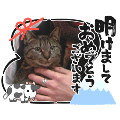 [LINEスタンプ] saa_20201202161358