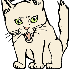 [LINEスタンプ] 真っ白猫の小雪さん