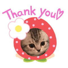 [LINEスタンプ] 日曜日のユズ