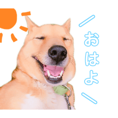 [LINEスタンプ] 4本足のおともだち ！！
